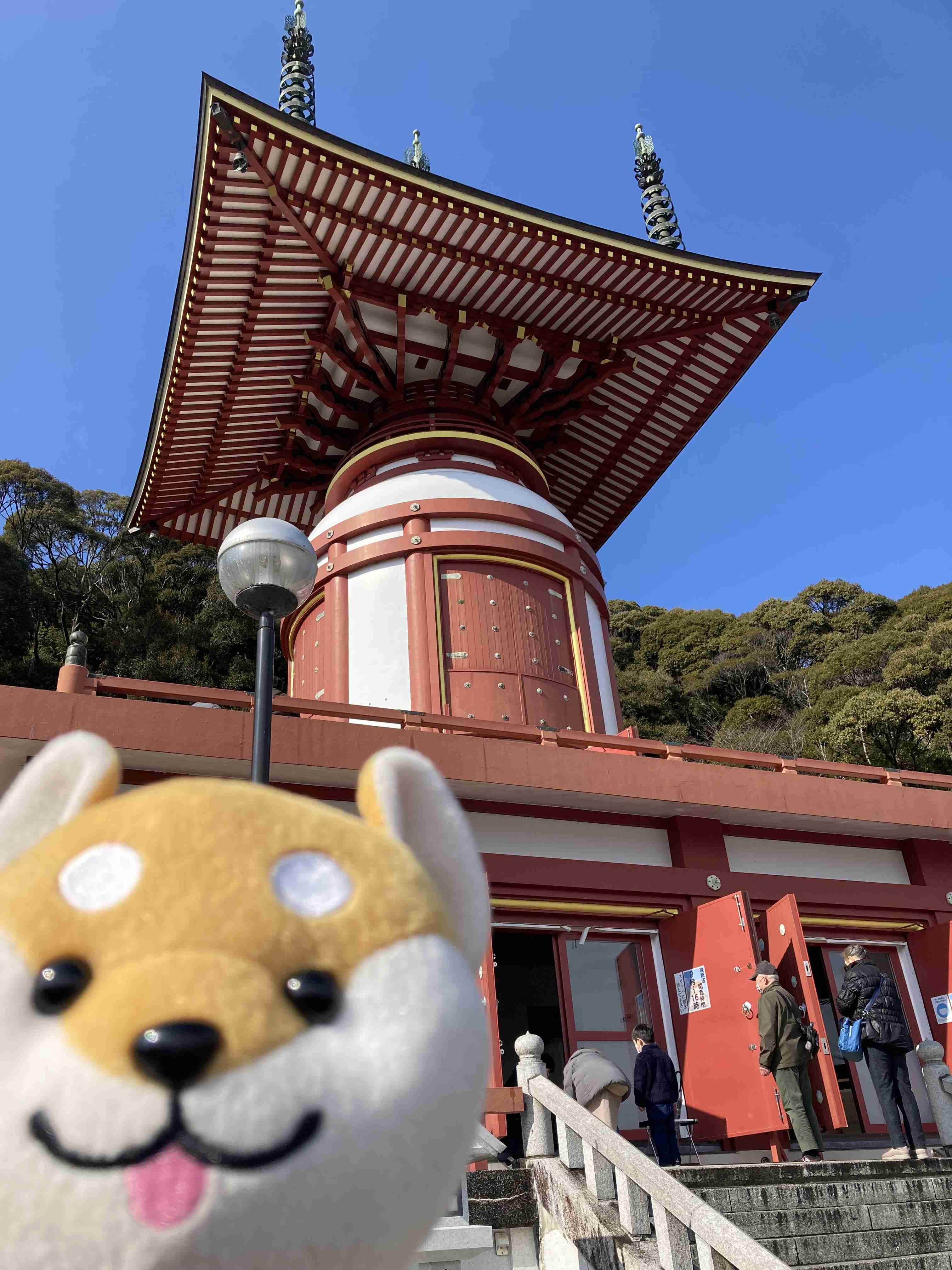 【見せて】自分ちのぬいぐるみ