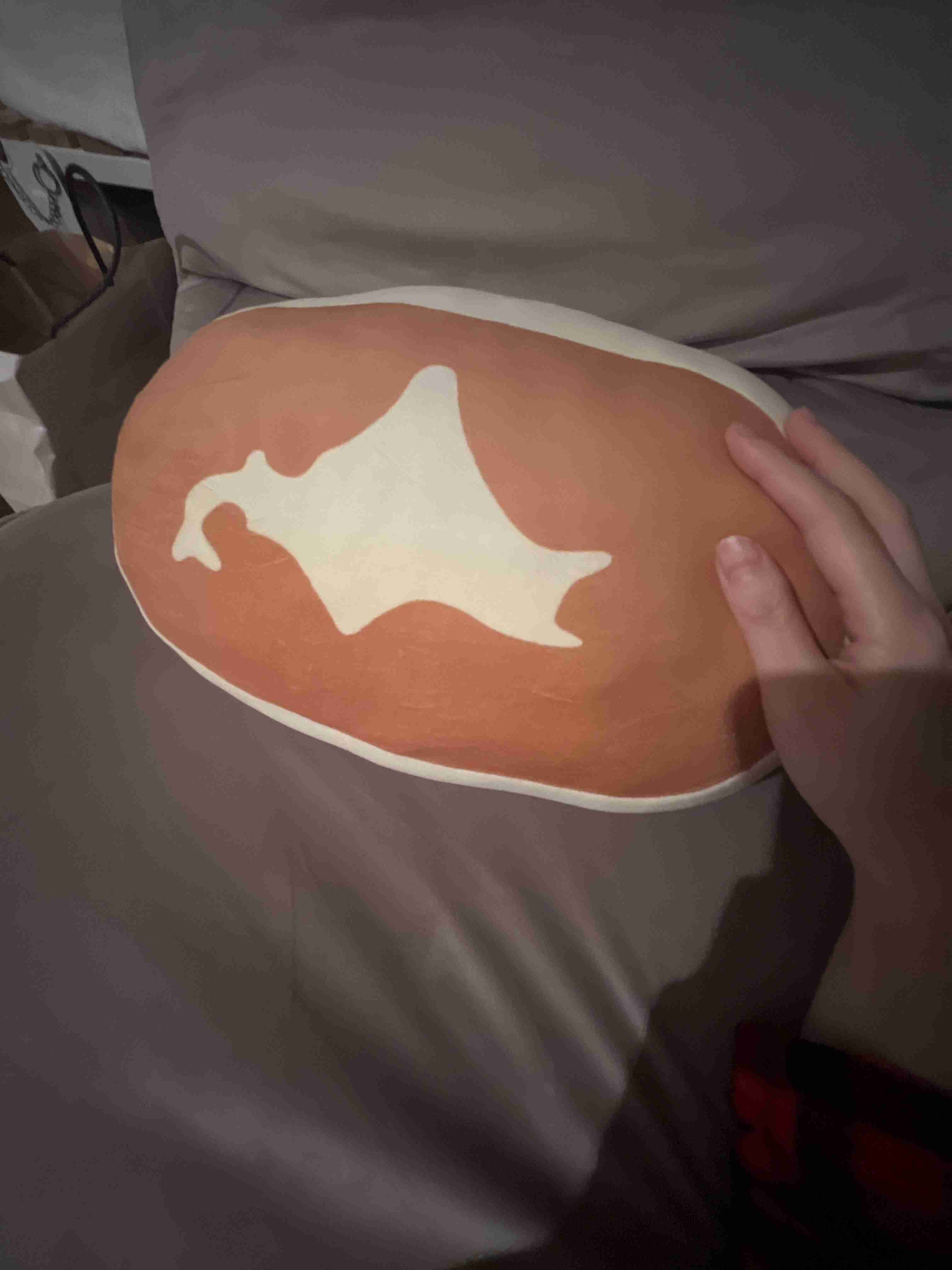 【見せて】自分ちのぬいぐるみ