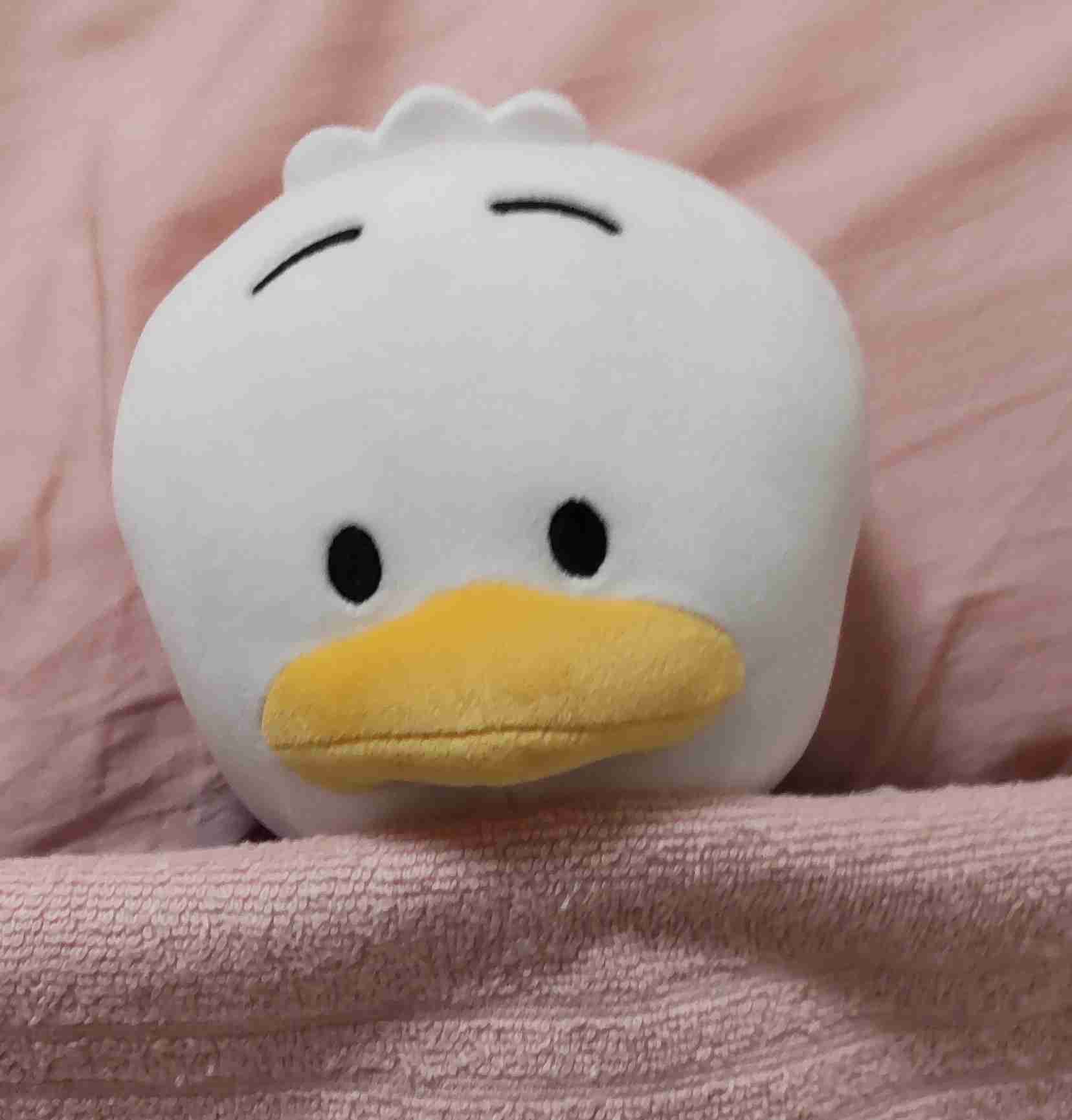 【見せて】自分ちのぬいぐるみ