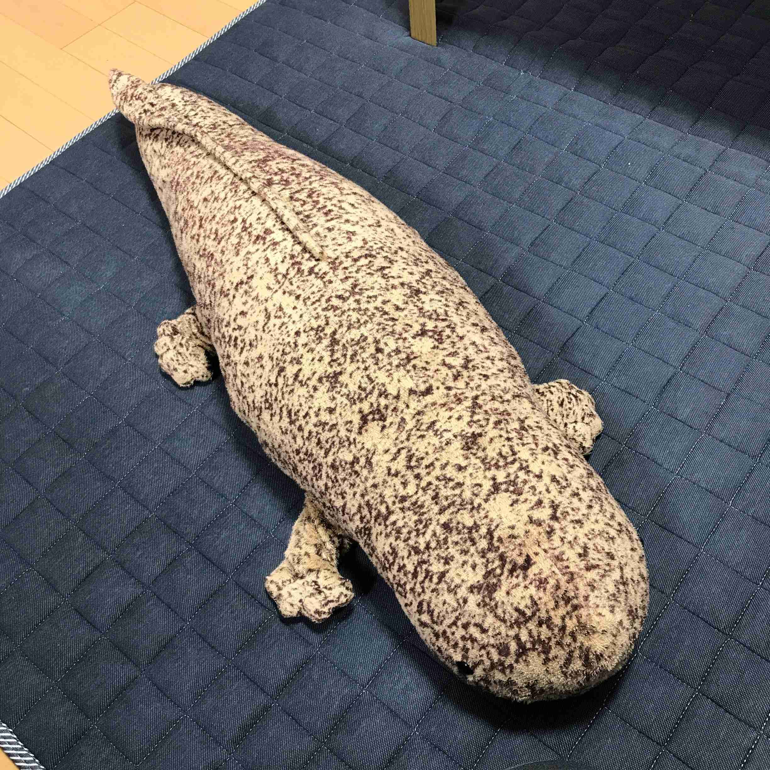 【見せて】自分ちのぬいぐるみ