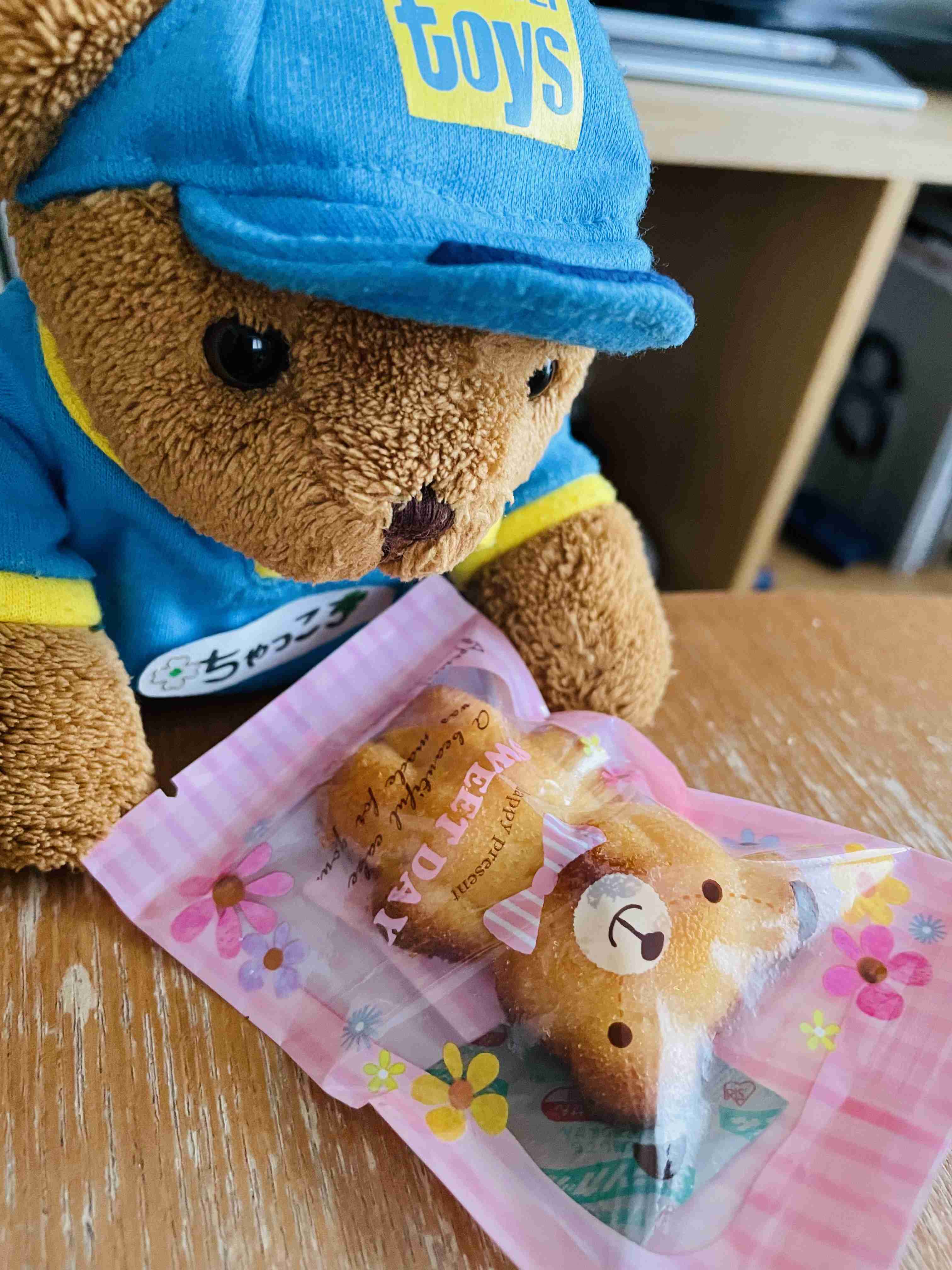 【見せて】自分ちのぬいぐるみ