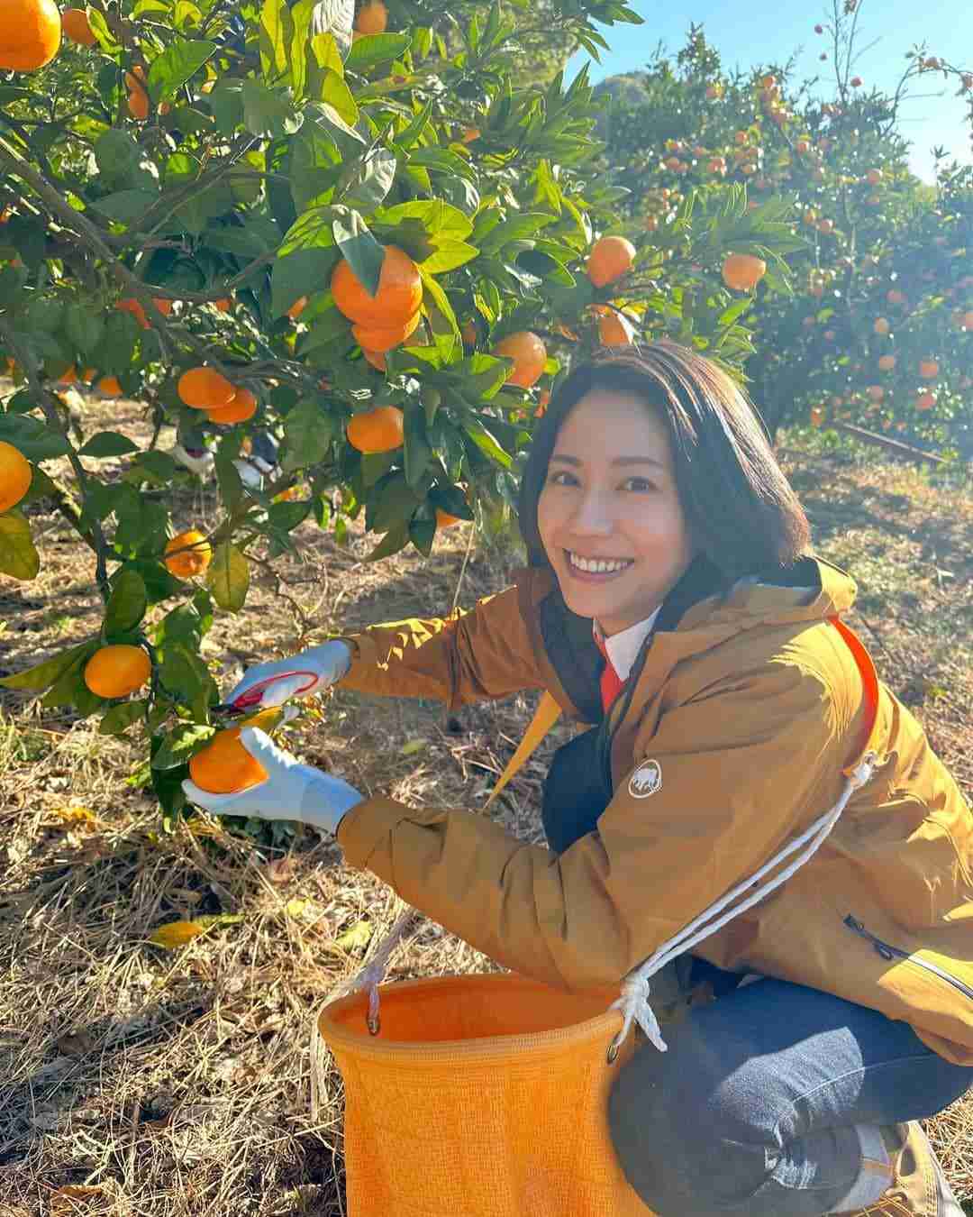 松下奈緒さん好きな人