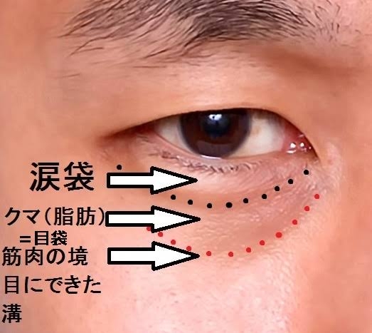美人か不美人かを決める顔の中で最も重要なパーツ