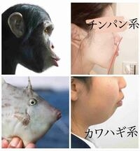 美人か不美人かを決める顔の中で最も重要なパーツ