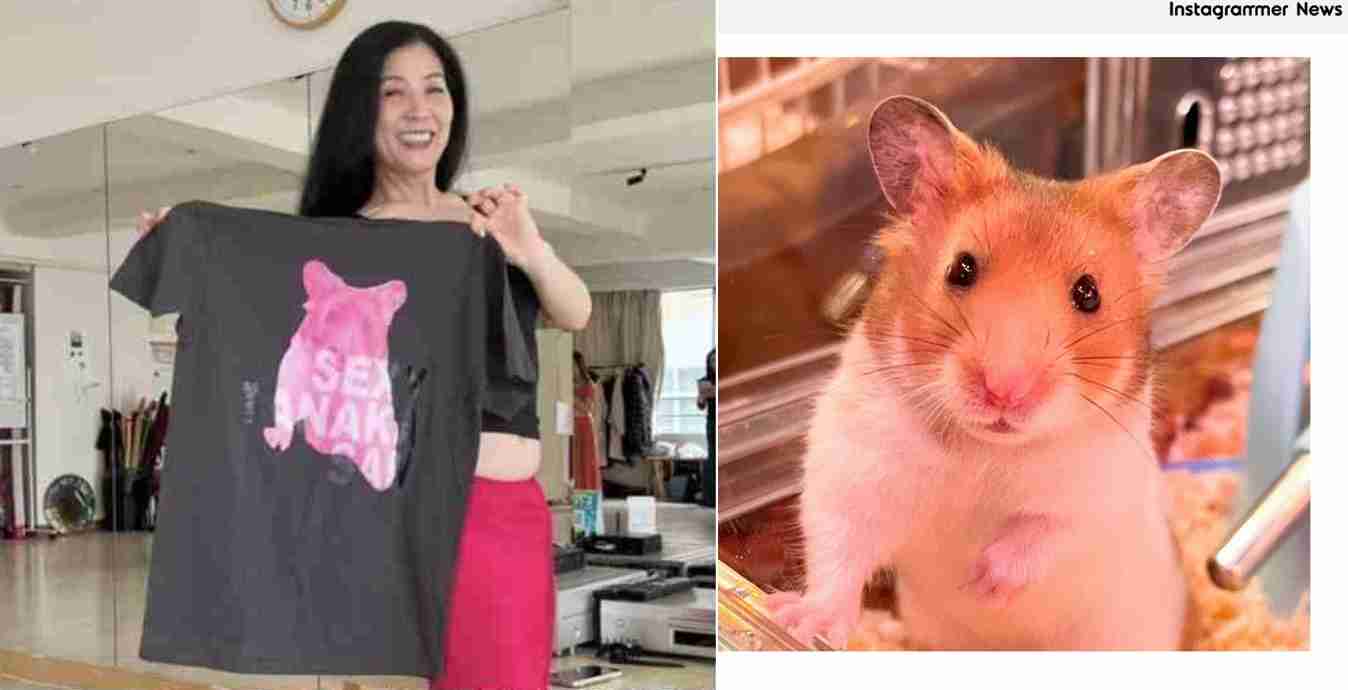 日本テレビ、ドラマ「セクシー田中さん」制作過程についてコメント「話し合いを重ね、最終的に許諾をいただけた脚本を決定原稿とし放送」