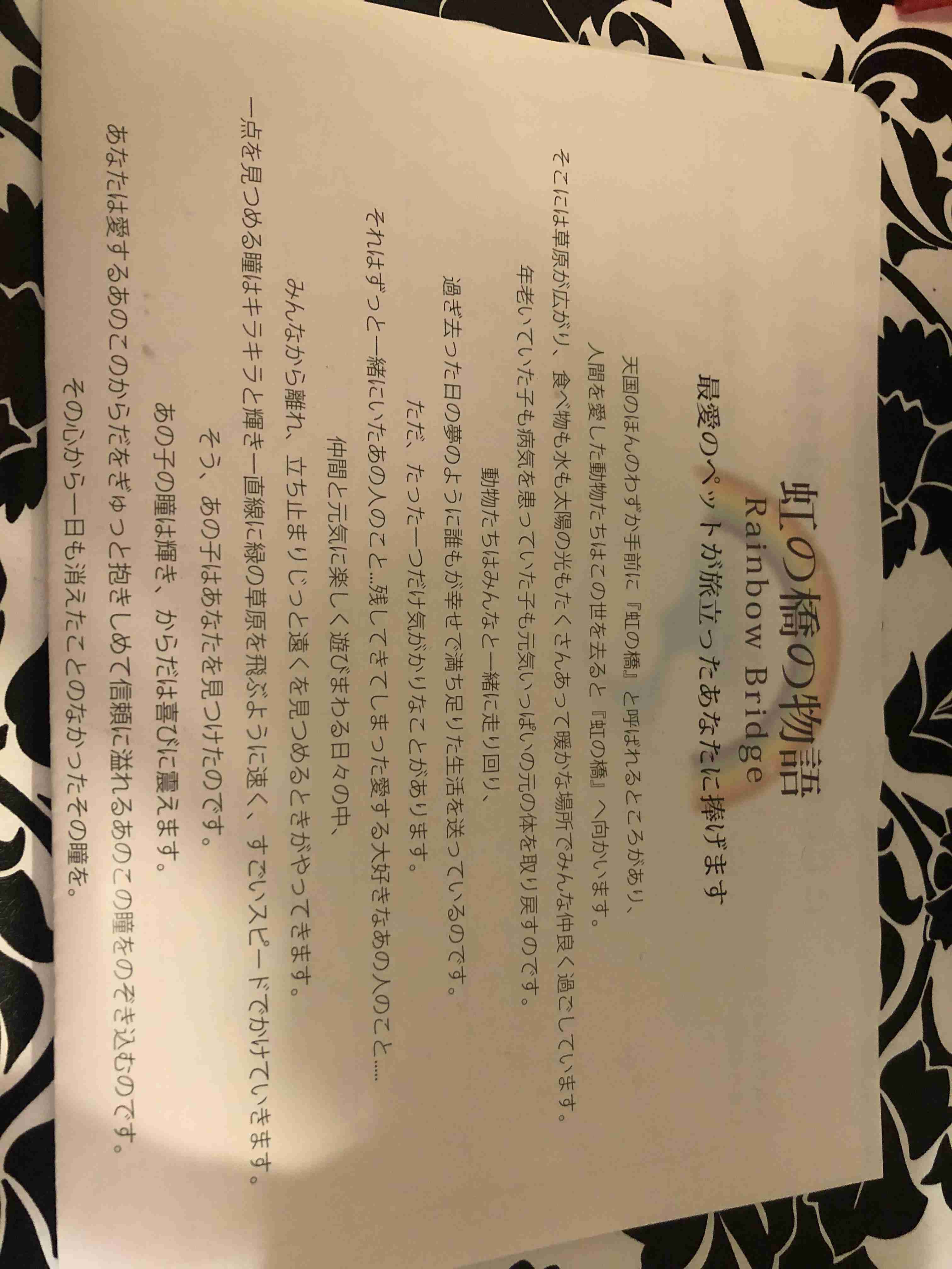 ペットロスについて