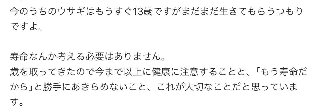 ペットロスについて