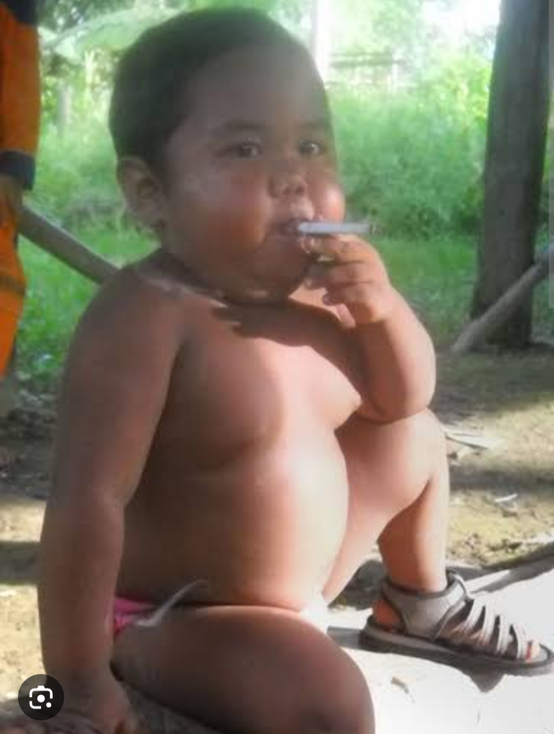 大場久美子「家を出ました」と報告　「たばこの受動喫煙」が理由で家族、愛犬とも離れホテル住まい