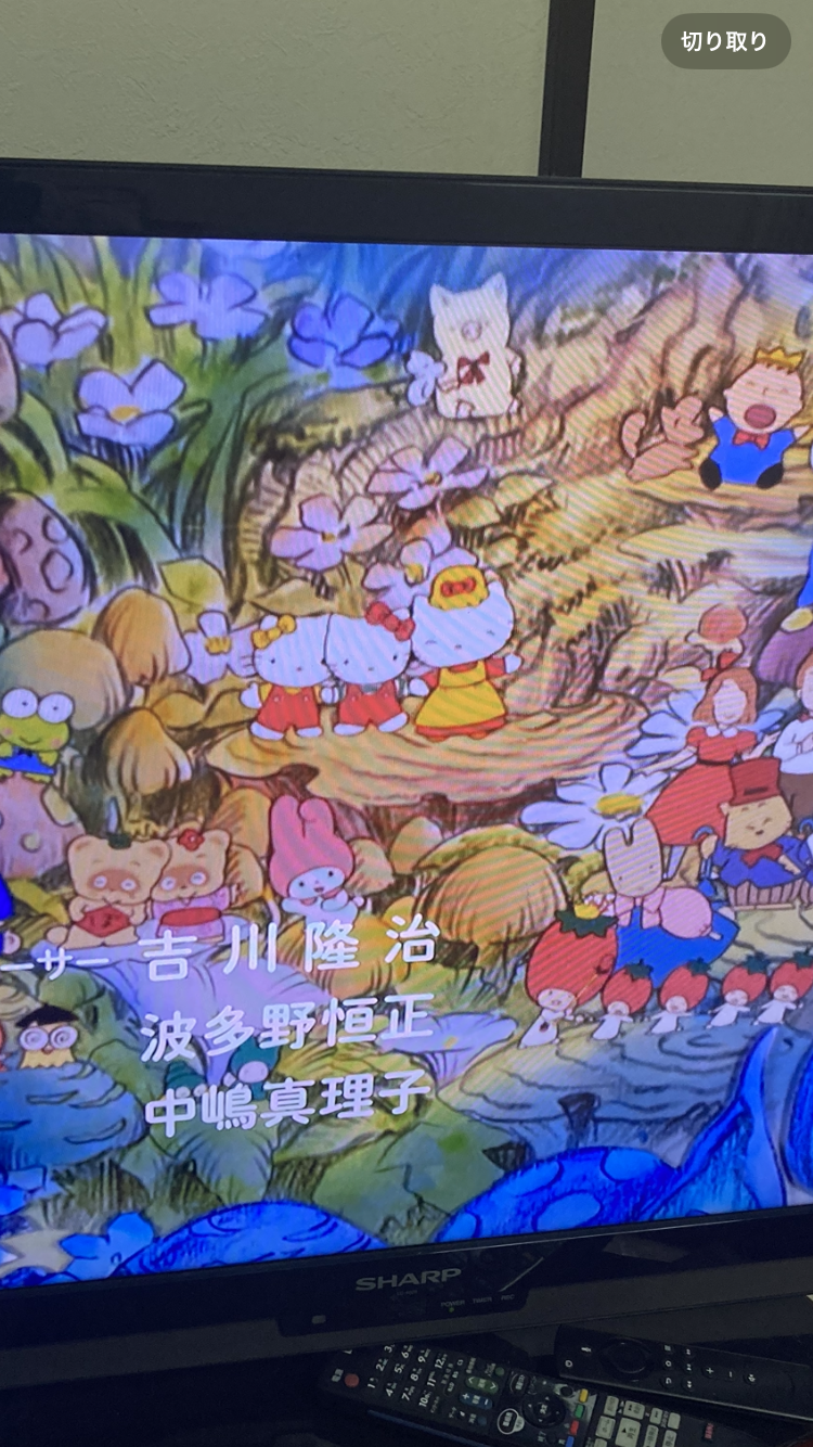 大人だけど子供向けアニメ見てる人