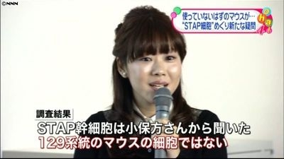 そういえばあれどうなったの?