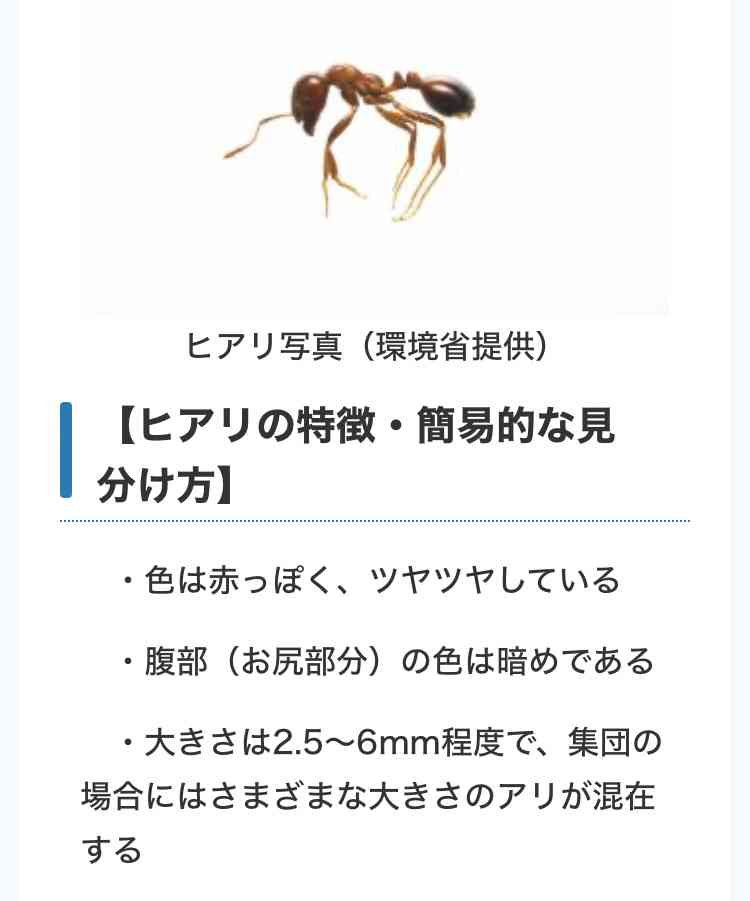 そういえばあれどうなったの?