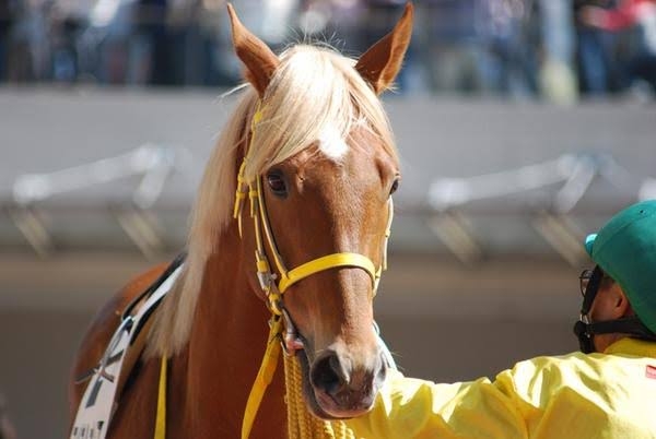 名品爆誕してる…！【ワークマン新作】おしゃれ & 優秀！「雲の上シューズ」って？