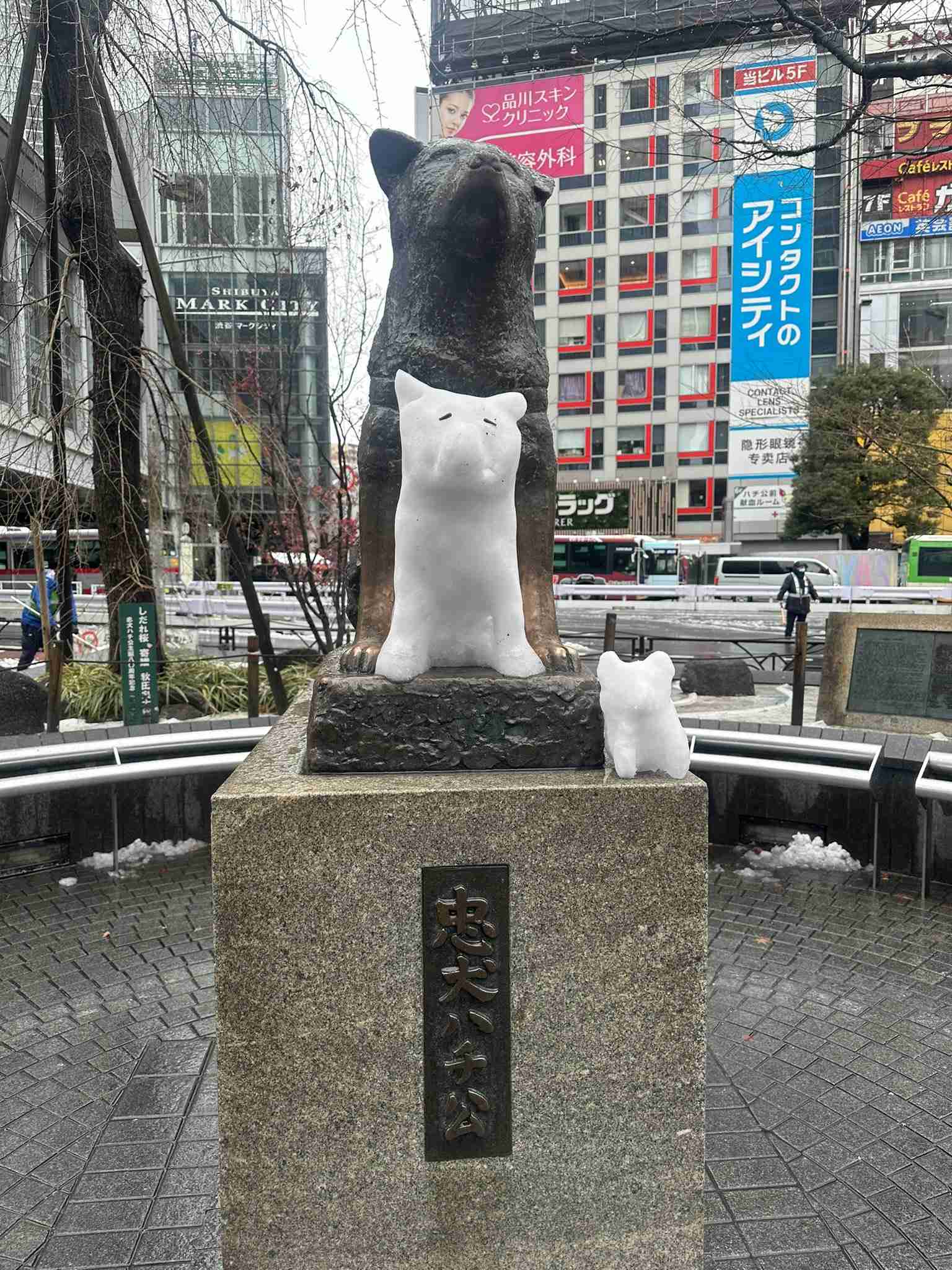 【大雪】都内で105人救急搬送　積雪や路面凍結の影響　スリップによる交通事故も