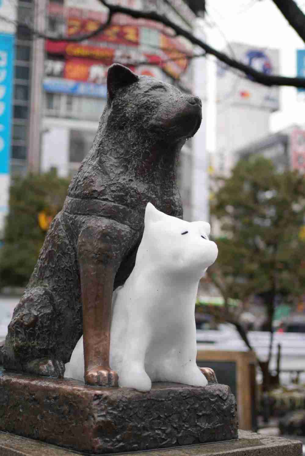 【大雪】都内で105人救急搬送　積雪や路面凍結の影響　スリップによる交通事故も