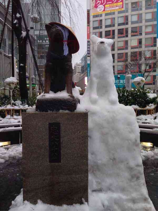 【大雪】都内で105人救急搬送　積雪や路面凍結の影響　スリップによる交通事故も
