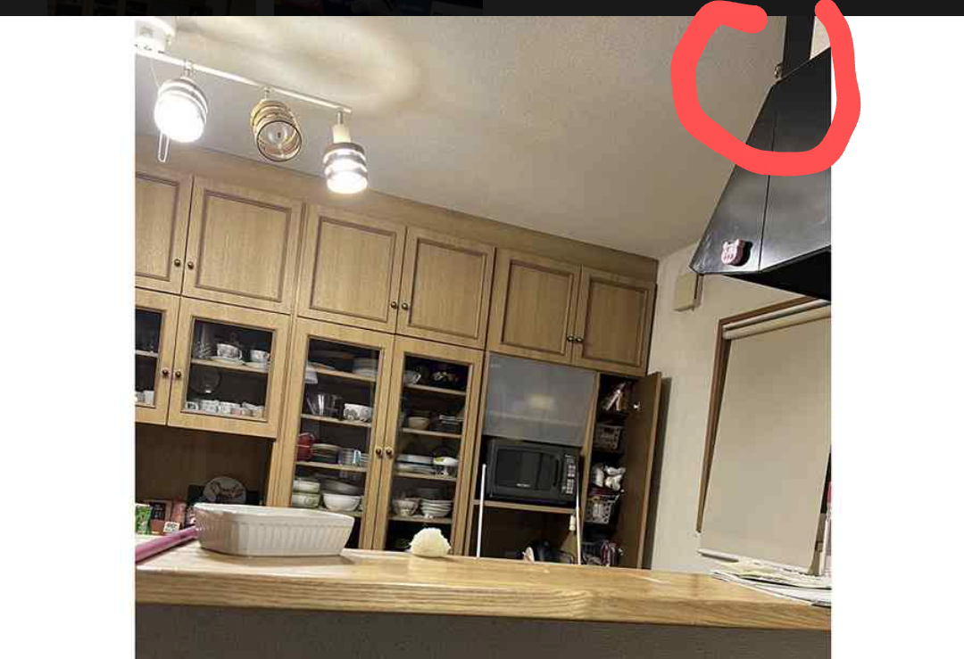 え、どこにいる？　キッチンにインコ　難易度高し「昨夜から探してるけど見つからない…」の声