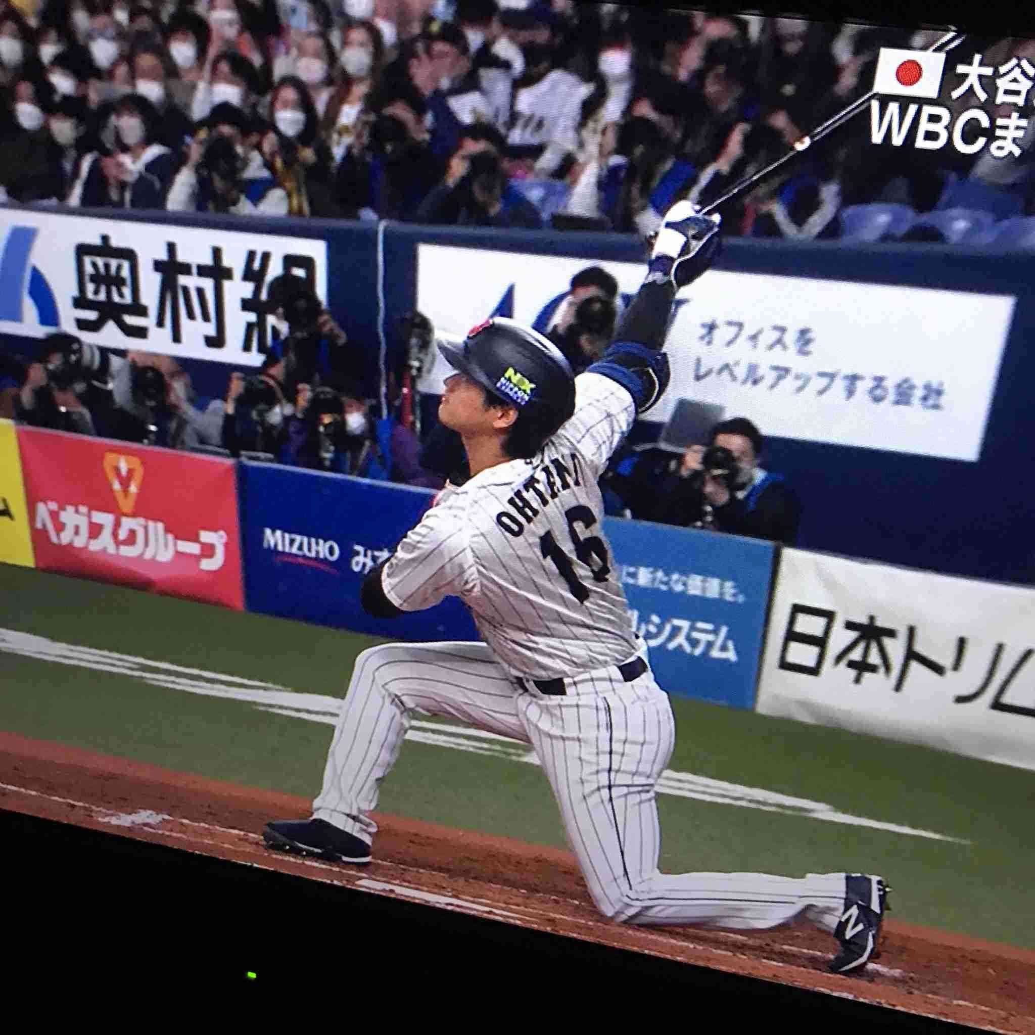 え、どこにいる？　キッチンにインコ　難易度高し「昨夜から探してるけど見つからない…」の声