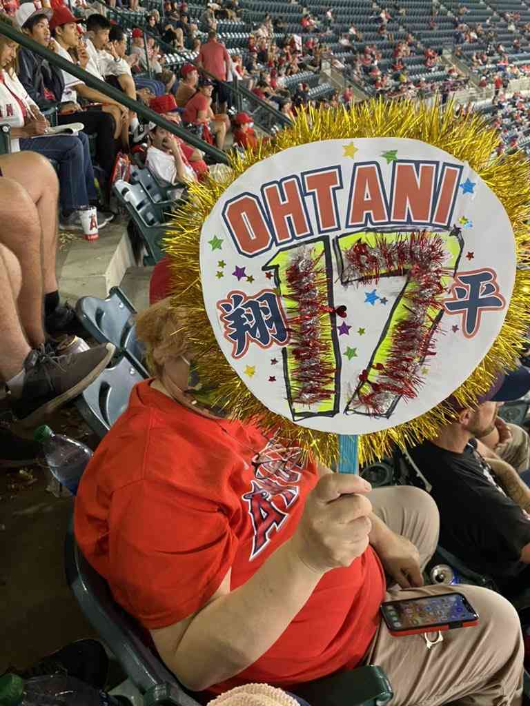 大谷翔平への「知らないけど遊んでる」発言で批判殺到のサッカー元日本代表　SNSにも「一緒にするな」と怒りコメント噴出