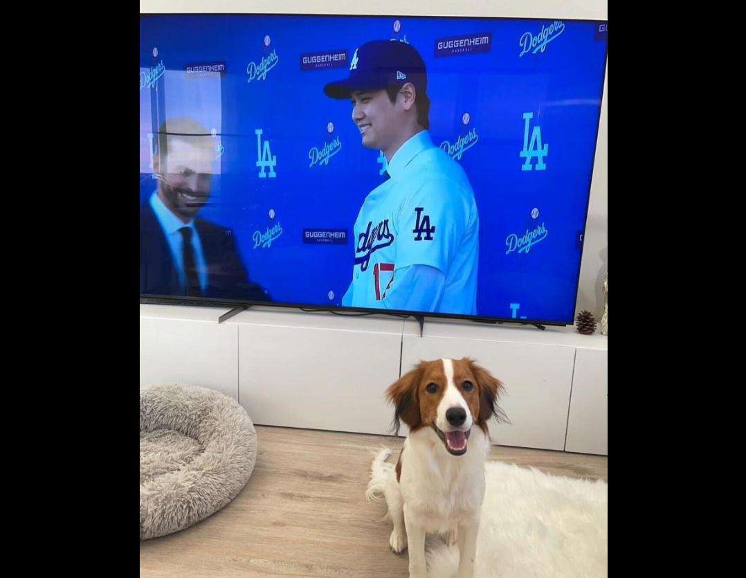 大谷翔平への「知らないけど遊んでる」発言で批判殺到のサッカー元日本代表　SNSにも「一緒にするな」と怒りコメント噴出