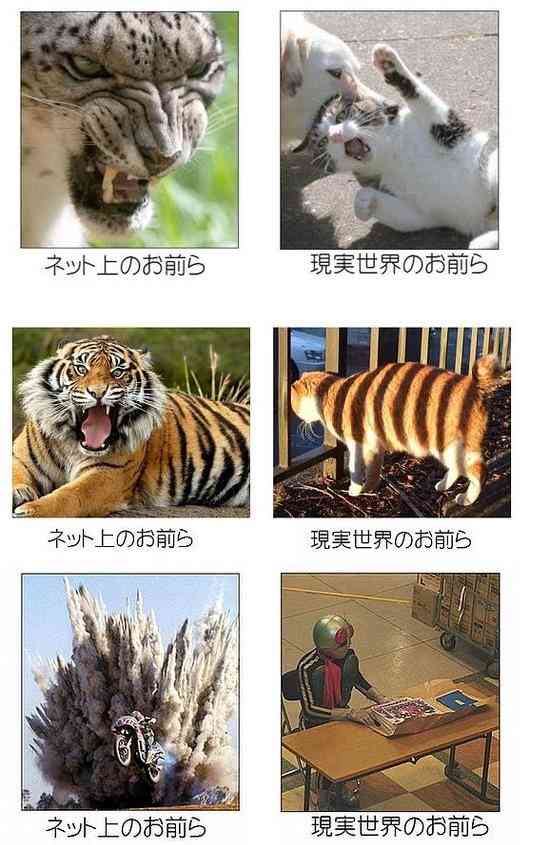 大阪拘置所職員が証言「車椅子の青葉被告をムリヤリ絞首台に連れて行くなんて、私にはできない」《京アニ・死刑判決の今後》