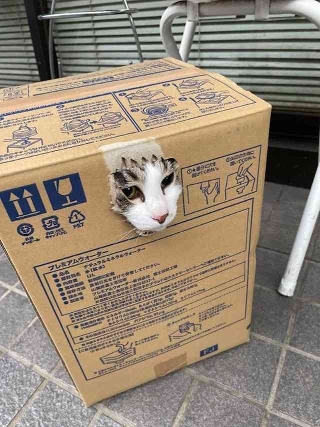 理想の終の棲家