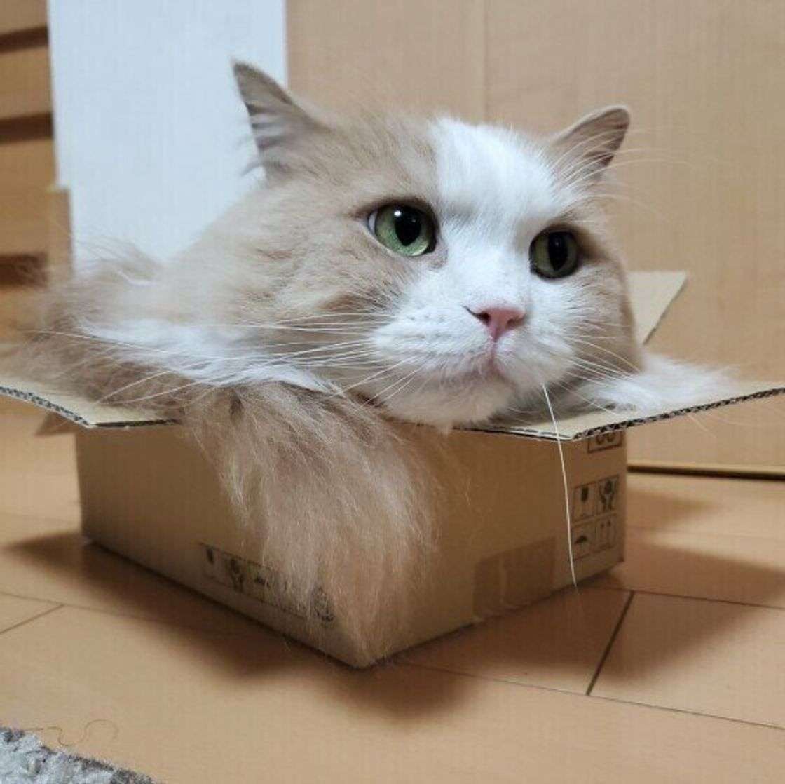 地味な暮らしが好きな人