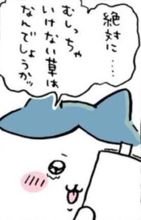 二次元キャラの泣き顔