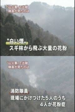 東京都でスギ花粉の飛散開始　去年より1日早く