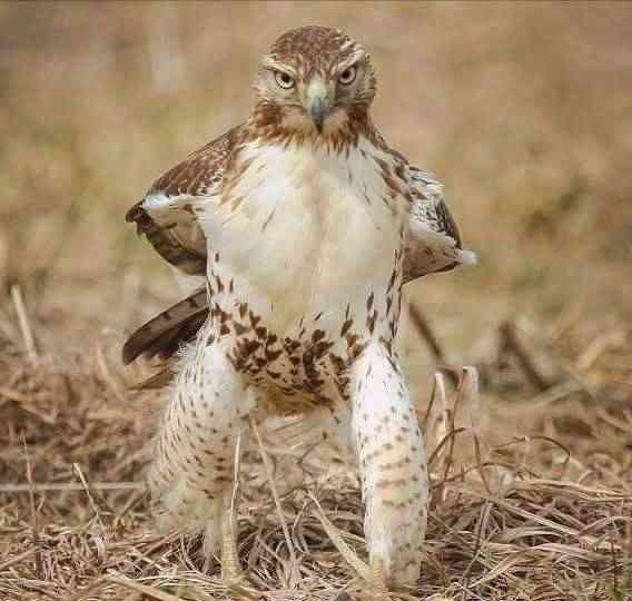 こんな時間なので控えめに笑わせてください