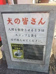 こんな時間なので控えめに笑わせてください