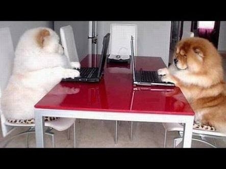 相手もやってるから自分もやっていい心理