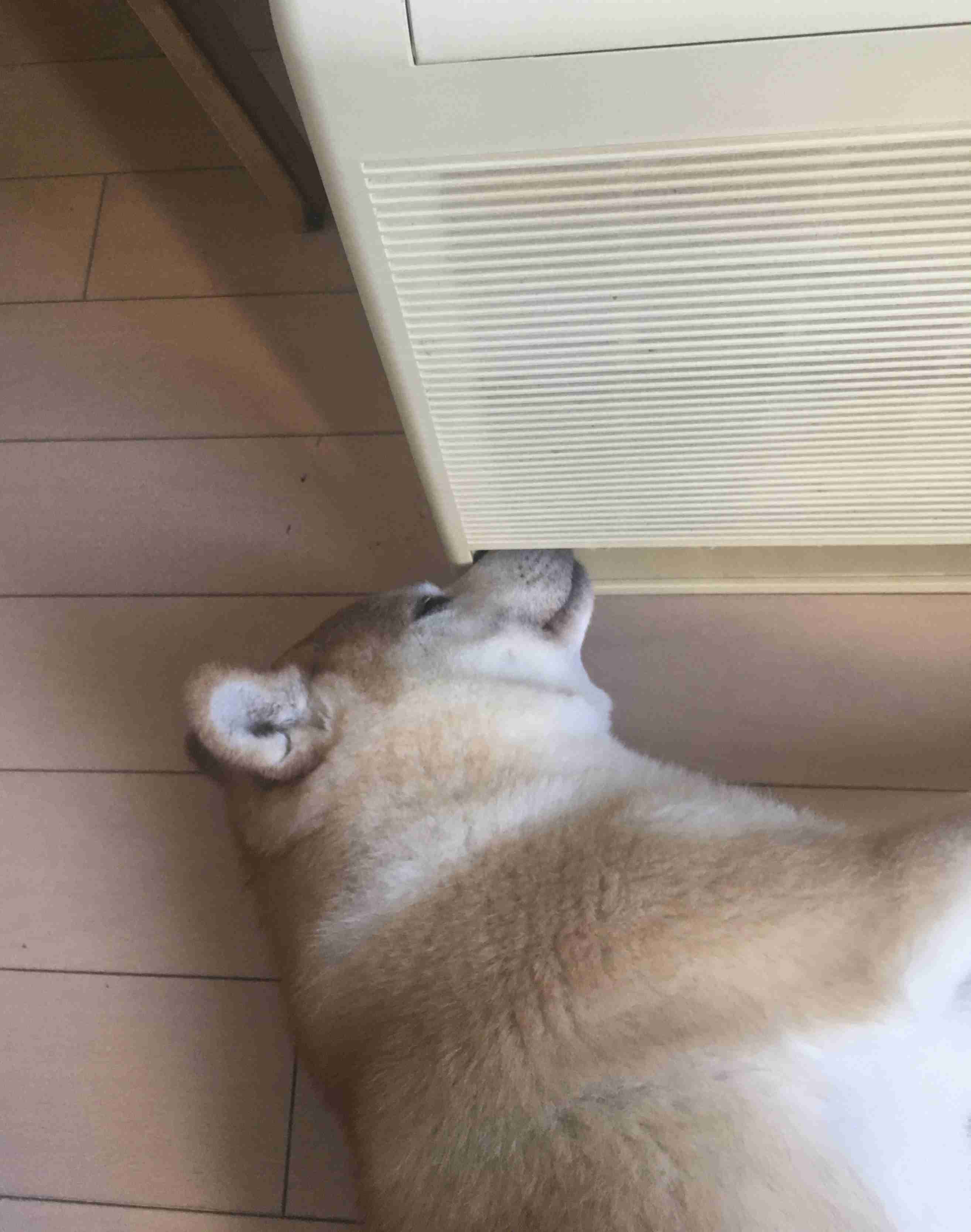 優しい、穏やか、明るい話が聞きたい