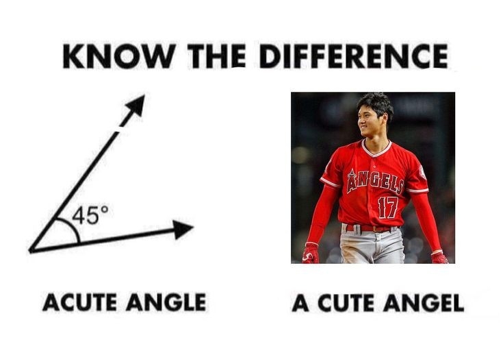 大谷翔平の愛犬デコピンにビザ発給　ということは…山本由伸の「みかん」にも必要か
