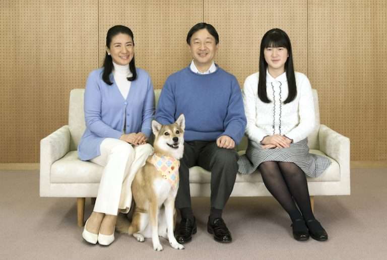 牧場が好きな人