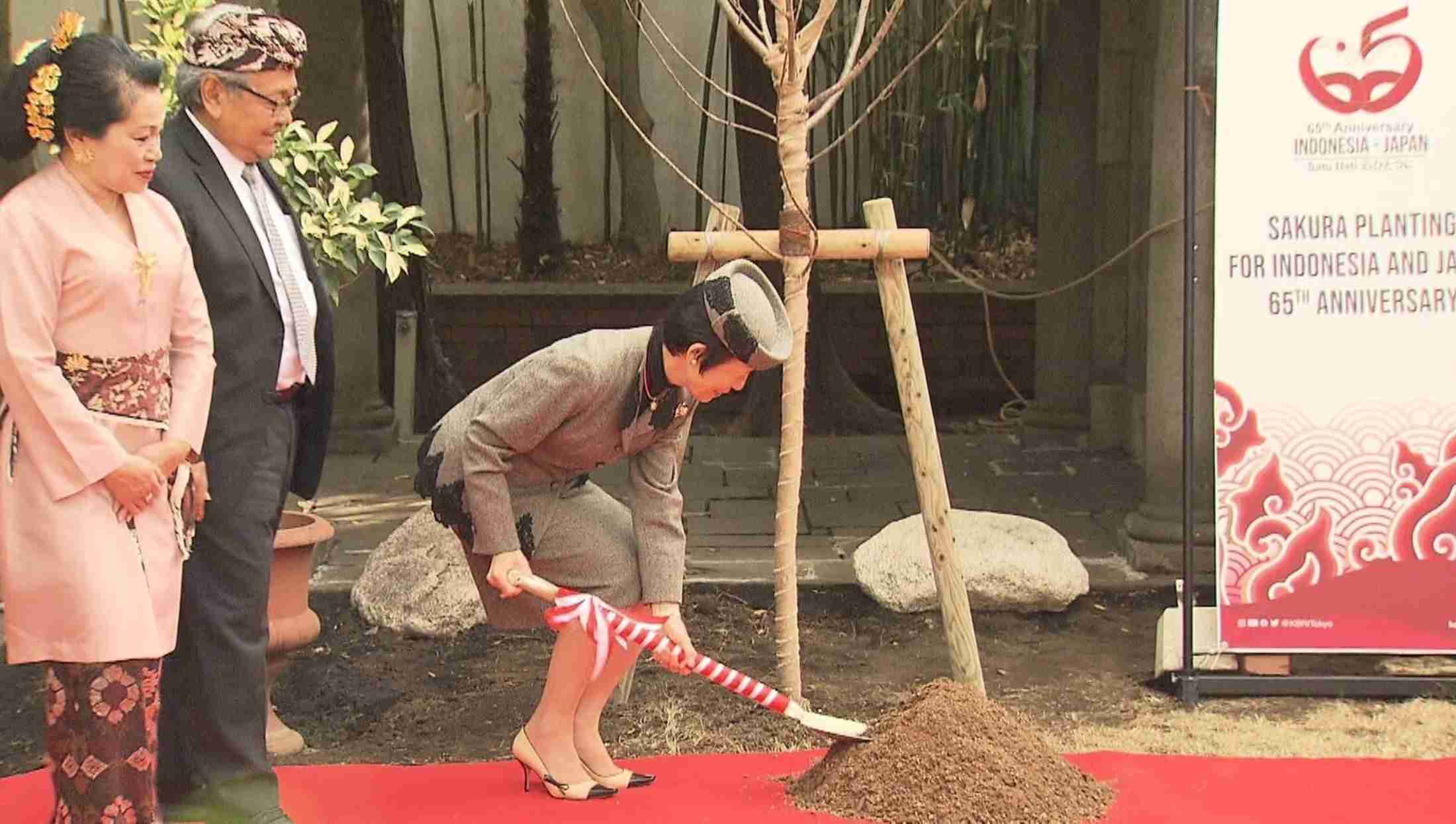 牧場が好きな人