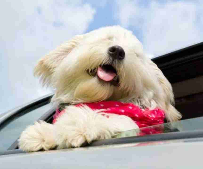 好奇心が強すぎる