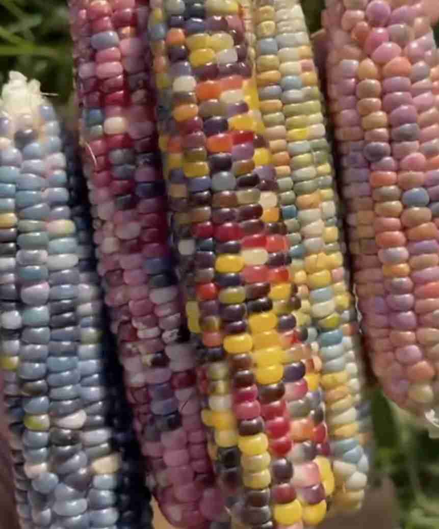 イルミナティ・陰謀論について語ろう Part20