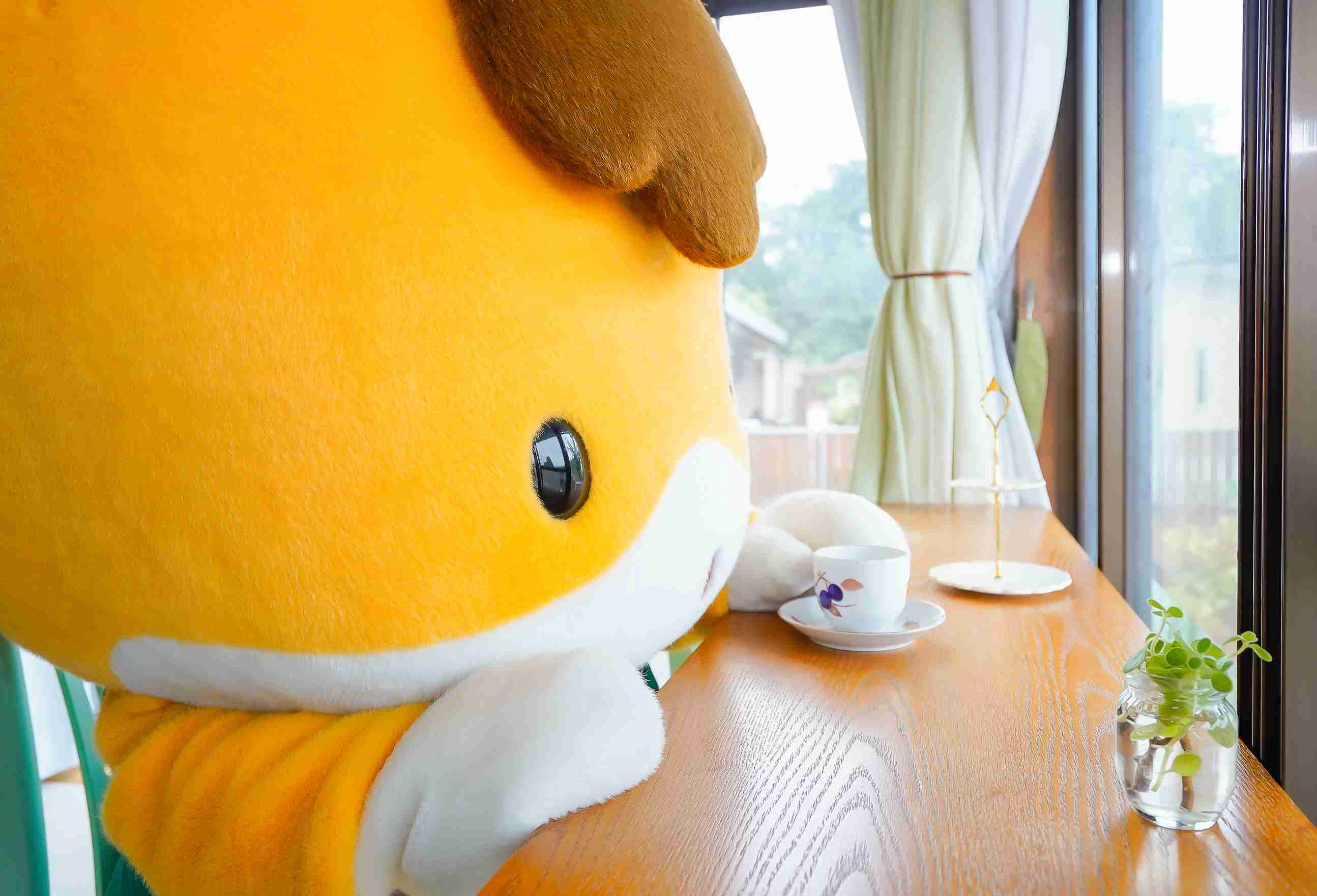 深く考えすぎない方が幸せに生きられる気がしませんか