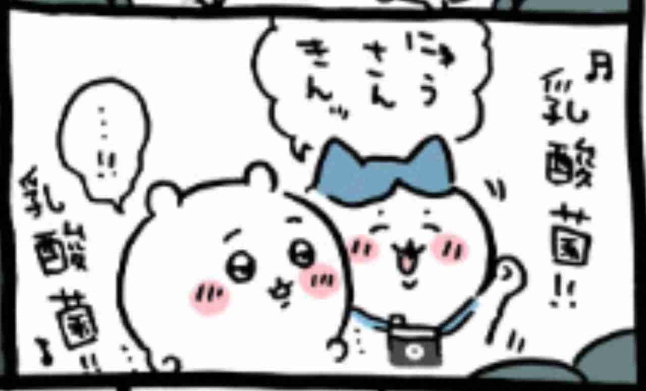 【定期】ちいかわ総合トピ🌸part22