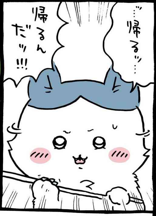 【定期】ちいかわ総合トピ🌸part22