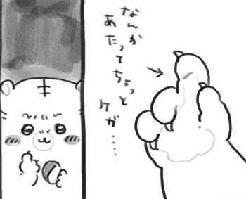 【定期】ちいかわ総合トピ🌸part22