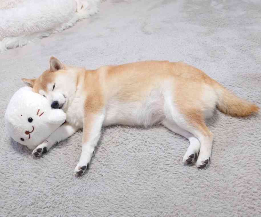 悩みを書くと優しい言葉が返ってくるトピpart10