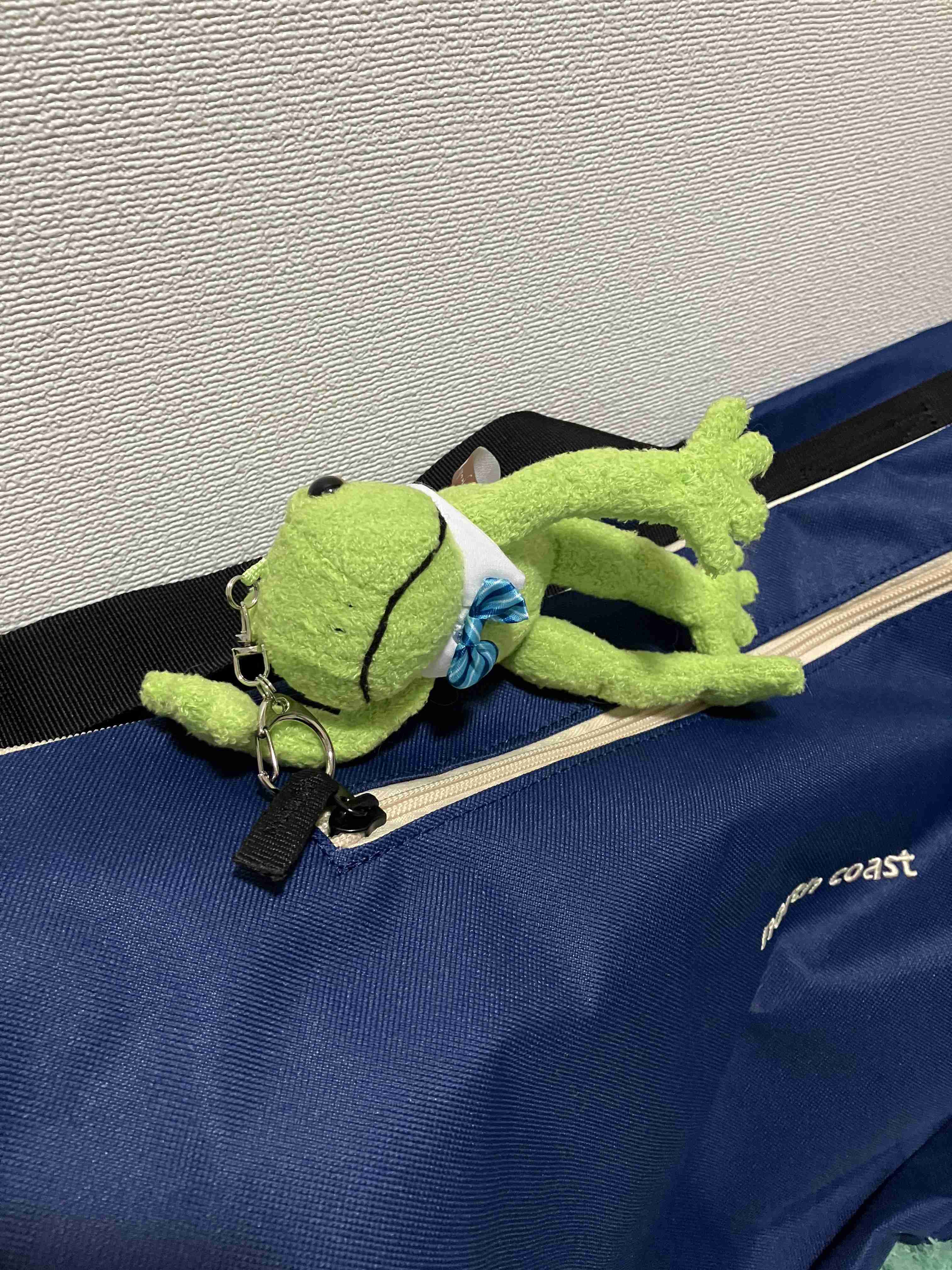 【見せて】自分ちのぬいぐるみ