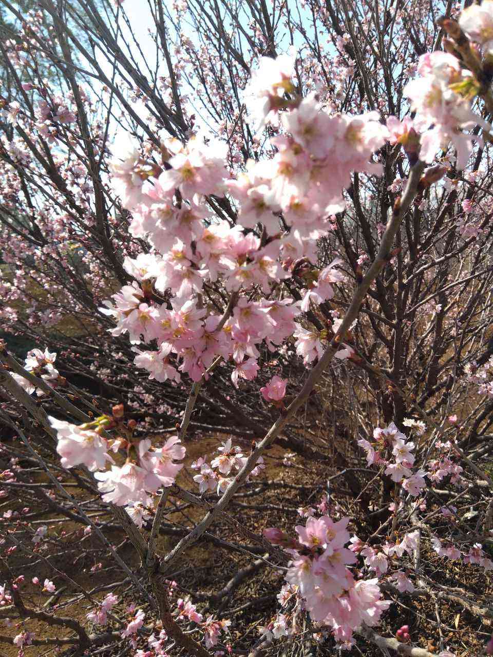 今日の色々を報告するトピ