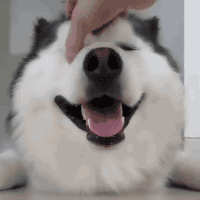 【園バス停】なに話してますか？【ママ友】