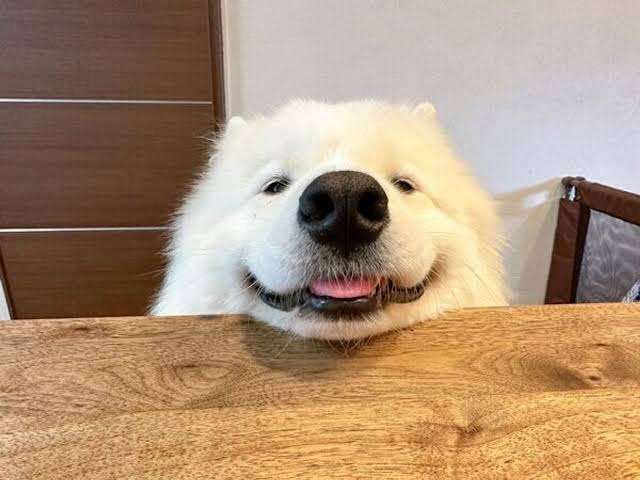 【園バス停】なに話してますか？【ママ友】