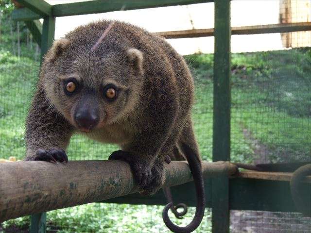 食文化の発達・歴史を知りたい2
