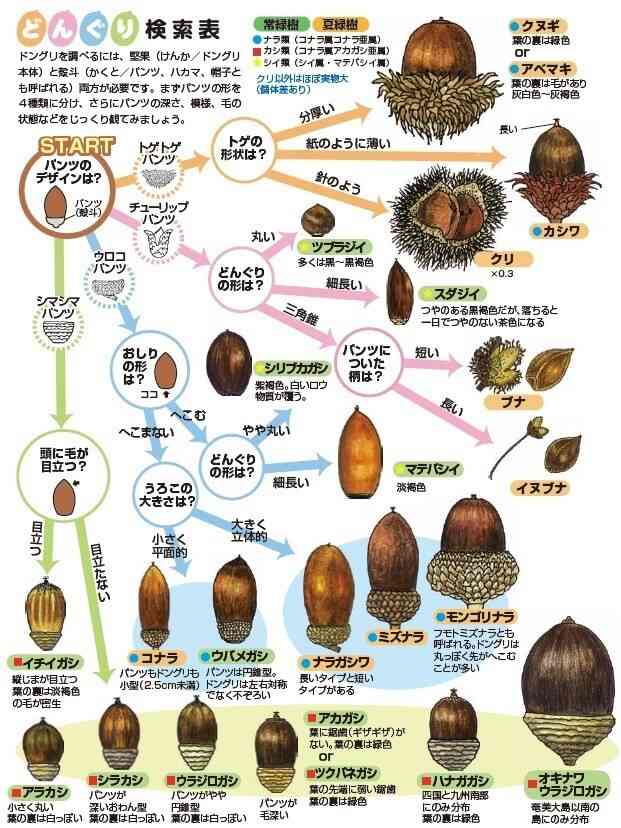 食文化の発達・歴史を知りたい2
