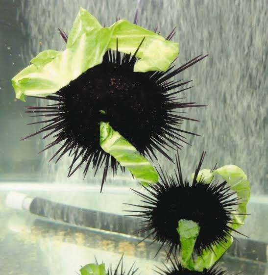 「1月から何度も通い愛」FANTASTICS八木勇征(26)が“小悪魔ageha”専属ギャルモデル(24)と真剣交際“スクープ撮” 事務所は「プライベートは任せていますが…」