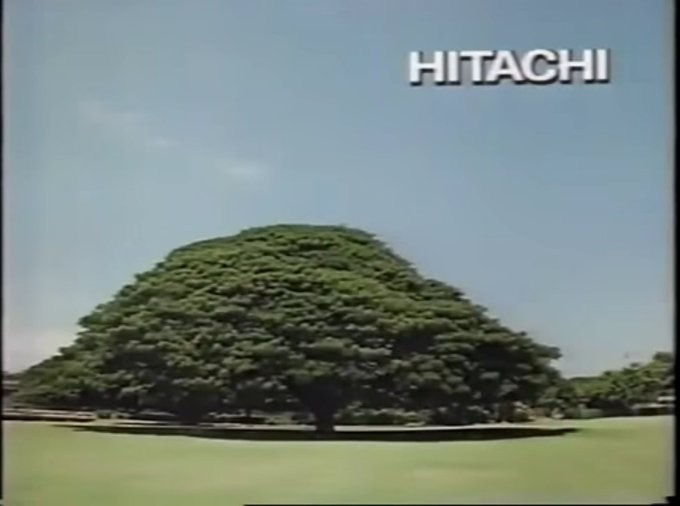 【実況・感想】世界ふしぎ発見!レギュラー最終回!38年のベストワン映像大公開SP